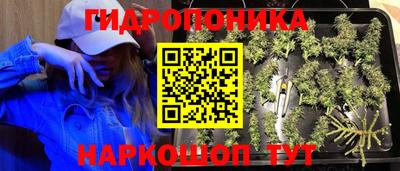 таблы Можга