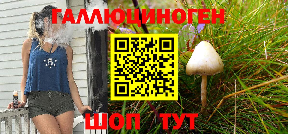 Псилоцибиновые грибы Cubensis  Вход с VPN  Холмск 