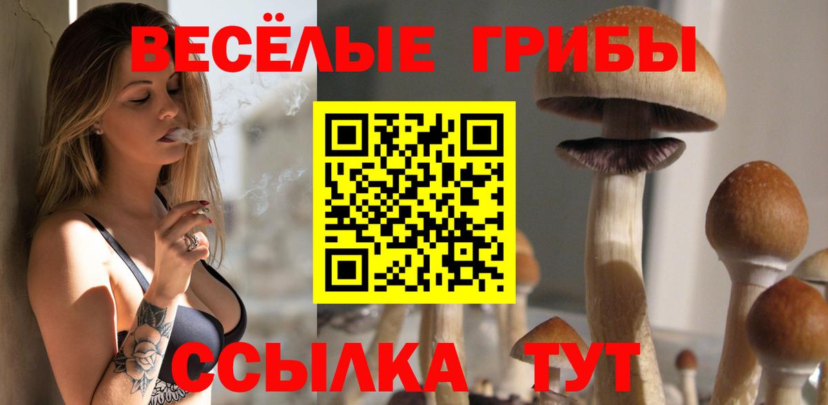 Галлюциногенные грибы мухоморы Холмск